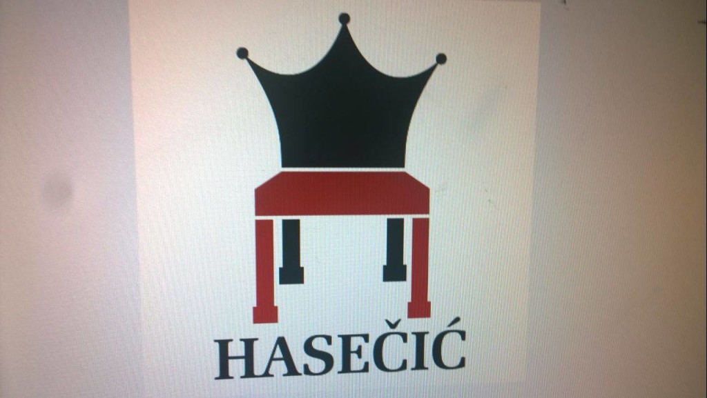 Hasecic logo