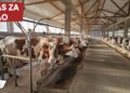 BM Promet d.o.o. raspisuje oglas za prijem radnika na farmi u Župči
