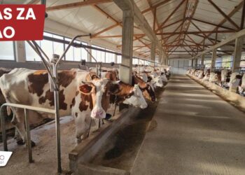 BM Promet d.o.o. raspisuje oglas za prijem radnika na farmi u Župči