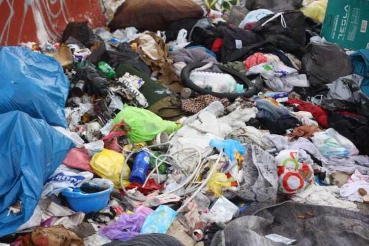 Leptospiroza se širi Sarajevom: Evo kakvo stanje smo zabilježili u naseljima Dobrinja i Švrakino