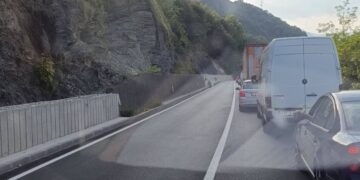 Vozači, oprez: Usporen saobraćaj kod Konjica zbog oborenog stabla na cesti