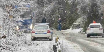 Zastoj na cestama BiH: Oboreno stablo i zaglavljeno vozilo, saobraćaj obustavljen na ovim putevima