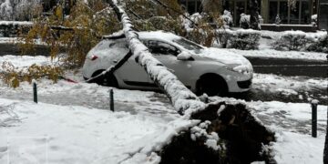 Opasnost na ulicama Sarajeva: Snijeg izazvao štetu. Srušilo se stablo, vozilo oštećeno