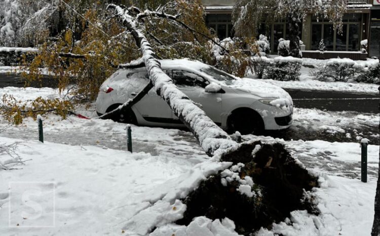 Opasnost na ulicama Sarajeva: Snijeg izazvao štetu. Srušilo se stablo, vozilo oštećeno