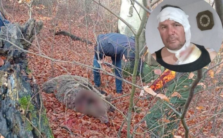 Bosanac preživio napad medvjeda: “Iznenada se bacio s visine na mene”