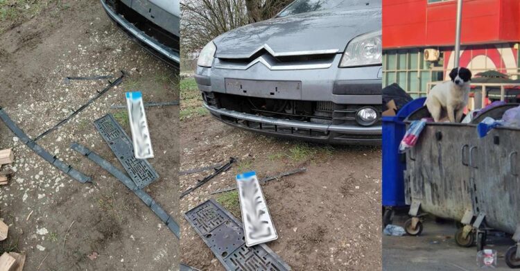 Psi lutalice oštetili automobil u Novom naselju u Ilijašu (FOTO)