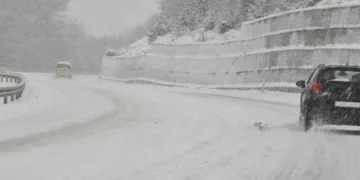 Nesreća u sarajevskom naselju Šip, saznajte gdje je obustavljen saobraćaj zbog oborenog stabla