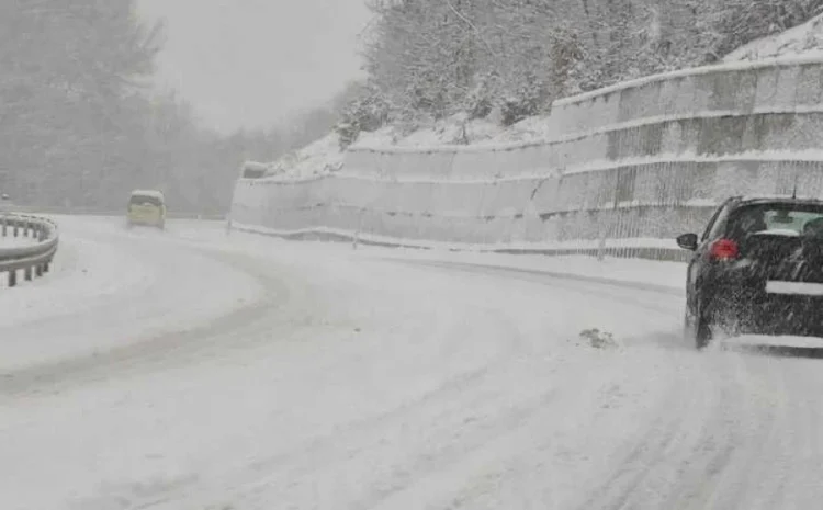 Nesreća u sarajevskom naselju Šip, saznajte gdje je obustavljen saobraćaj zbog oborenog stabla