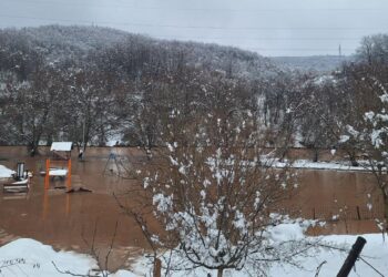 Rijeka Bosna izlila se iz korita u naselju Donja Luka kod Ilijaša