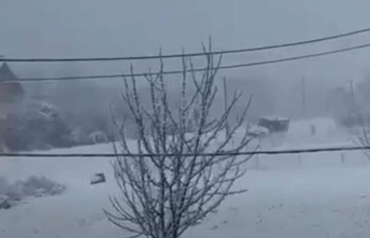 Nezgoda u Podlugovima: Grtalica završila van puta, apel vozačima na oprez