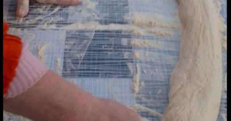 Prva visočka planinarska Ćetenijada