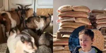 Zoo Bambi obradovao dječaka Ahmeta iz Kladnja: Poklonili mu životinje i hranu