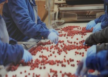 Nova investicija vrijedna više od 10 miliona KM: MSH Group započela proizvodnju u Kaknju