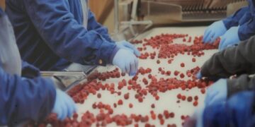 Nova investicija vrijedna više od 10 miliona KM: MSH Group započela proizvodnju u Kaknju