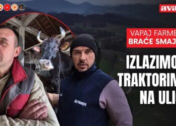 Vapaj farmera braće Smajić: Mlijeko ćemo morati bacati, izlazimo s traktorima na ulice
