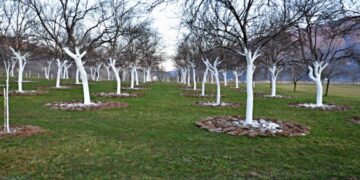 IPP “Eco Arhaz“ Sovrle objavio oglas za prijem radnika na voćnjaku