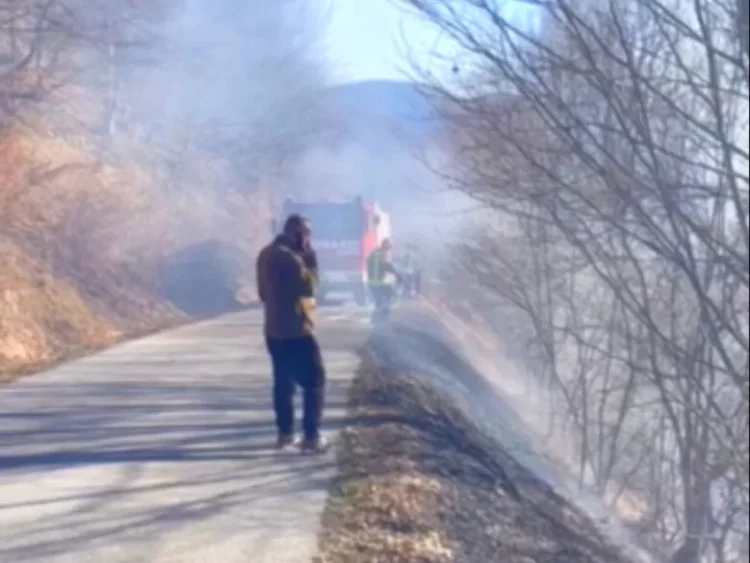 Novi požar u Ljubini: Vatrogasci na terenu, upućen apel građanima na oprez