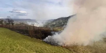 Požar niskog rastinja u Brezi lokalizovan nakon gotovo tri sata borbe
