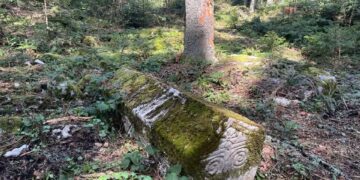 Kulturno naslijeđe Ilijaša u fokusu struke