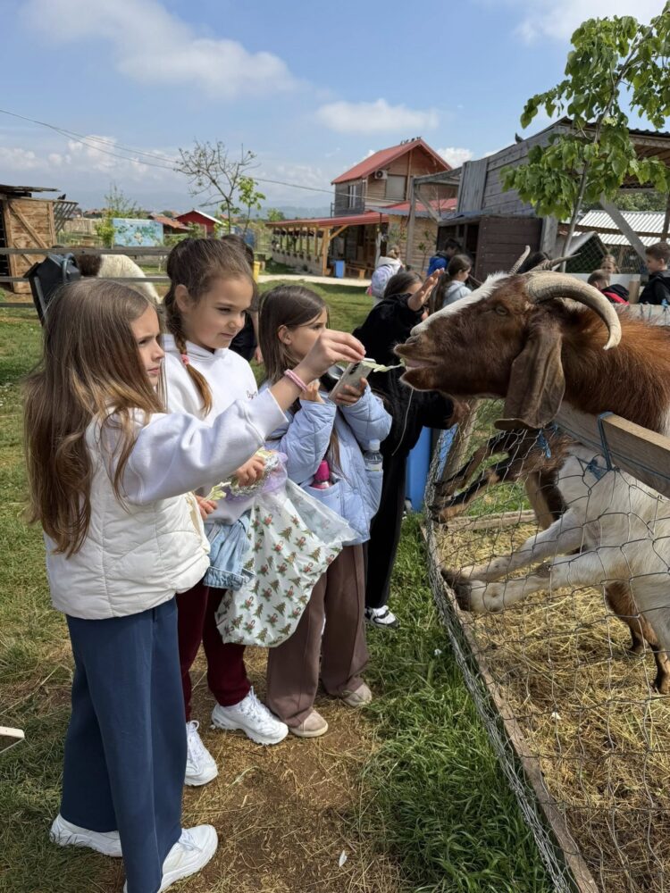 Učenici OŠ “Hašim Spahić” uživali u posjeti ZOO „Bambi“ i izletu na Stojčevcu