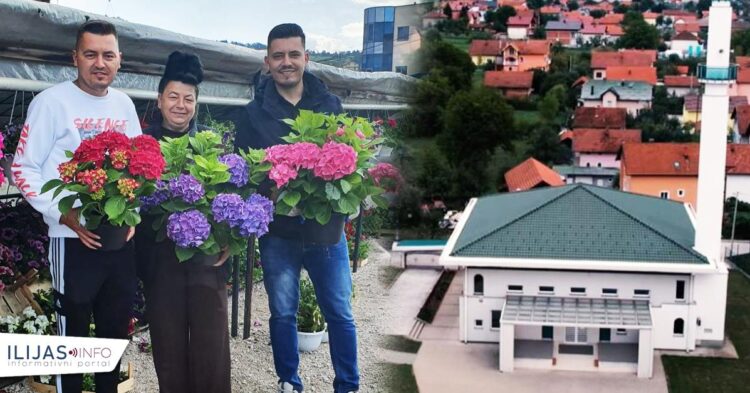 Porodica Smajlović i ove godine obezbijedila cvijeće za uređenje harema džamije u Podlugovima